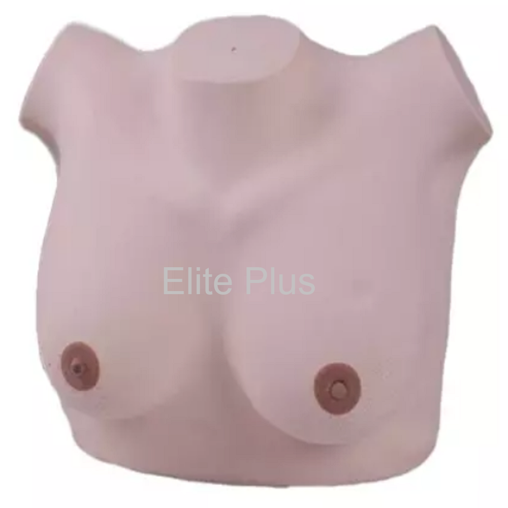 GP-6620 Breast Examination Model