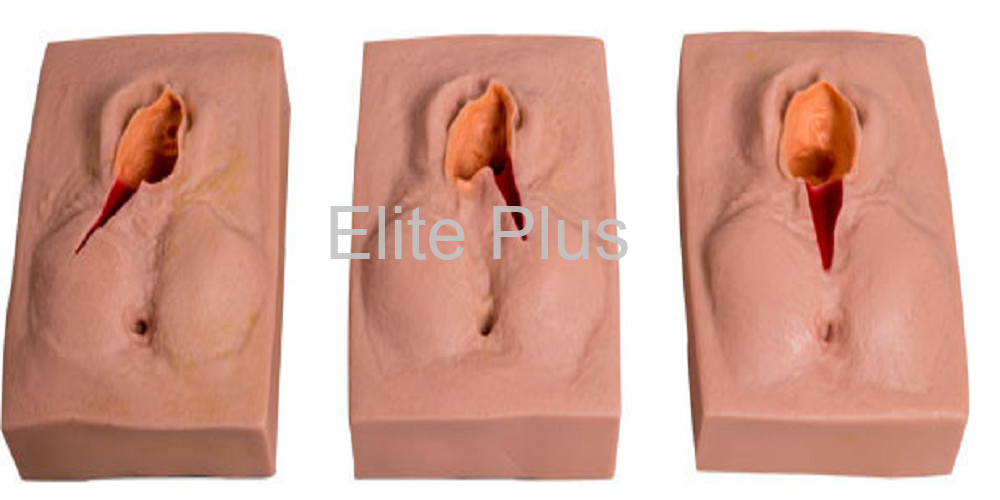 Vulva Suturing Training Simulator
