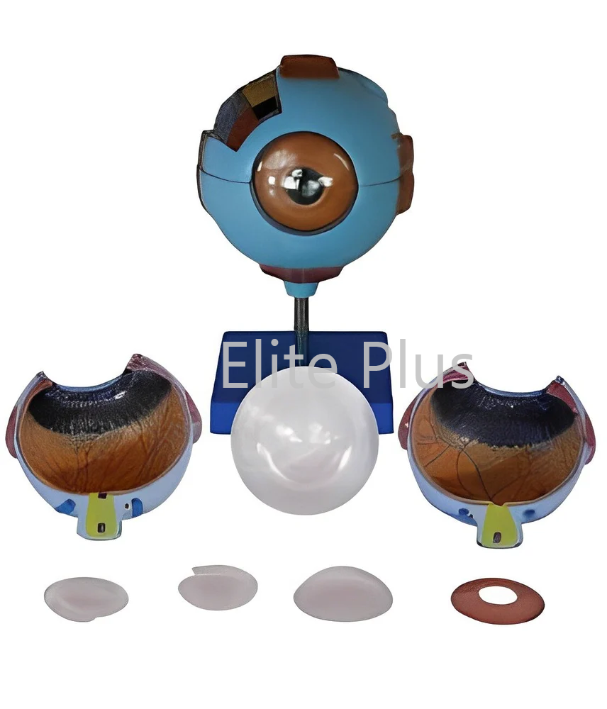 XC-316 Giant Eye Model
