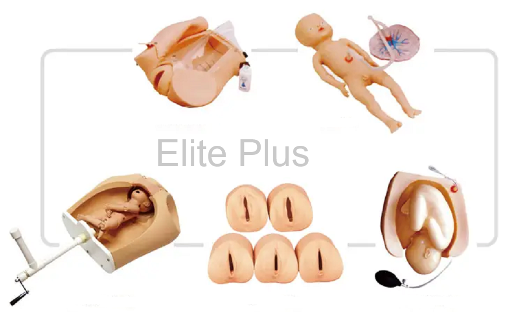 Advanced Abdominal Palpation and Delivery Mechanism