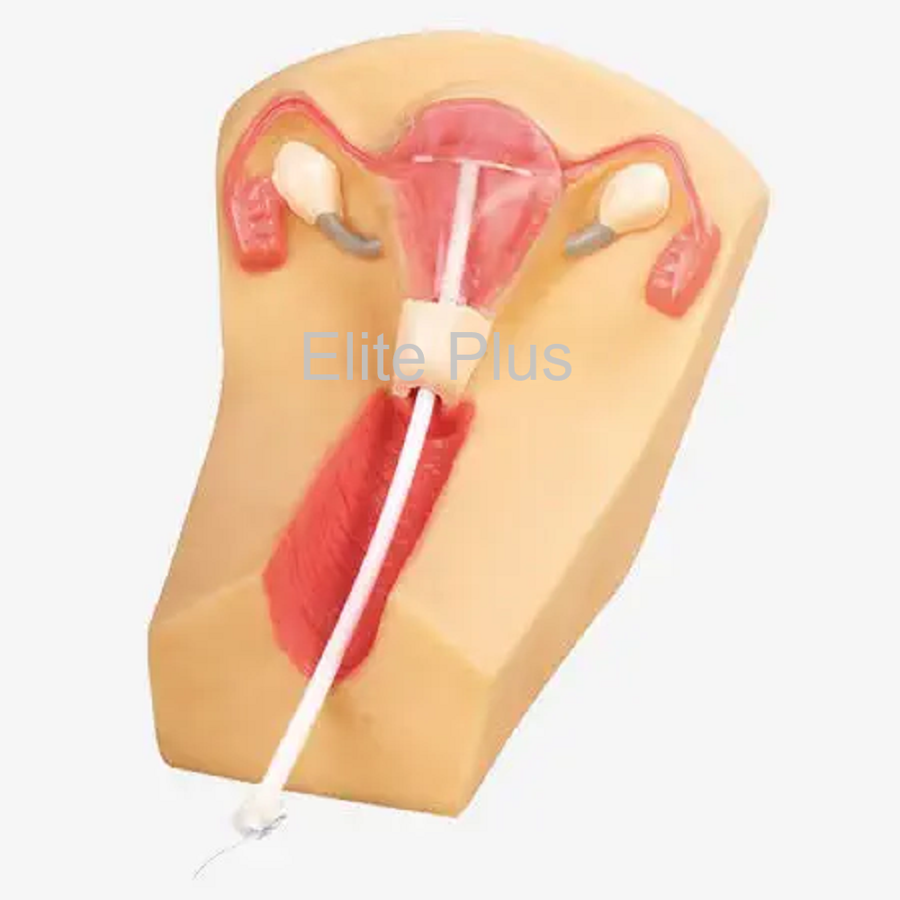 GD-F5N IUD Training Simulator