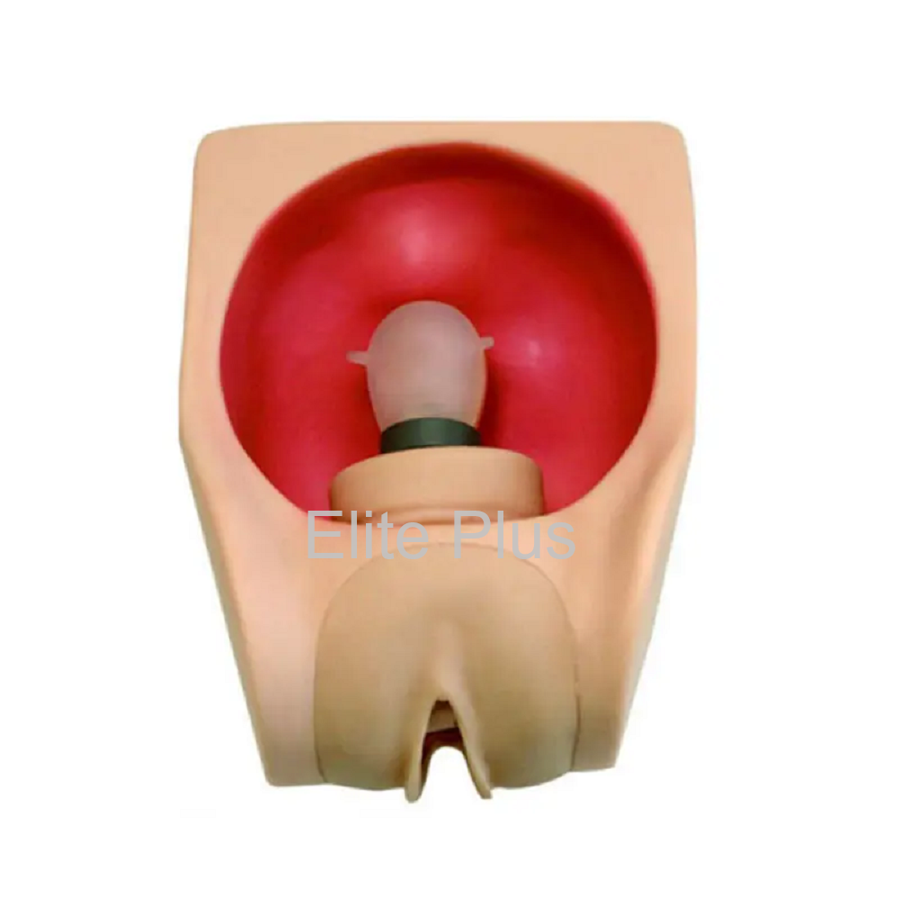GD-F9B Female Contraception Practice Simulator