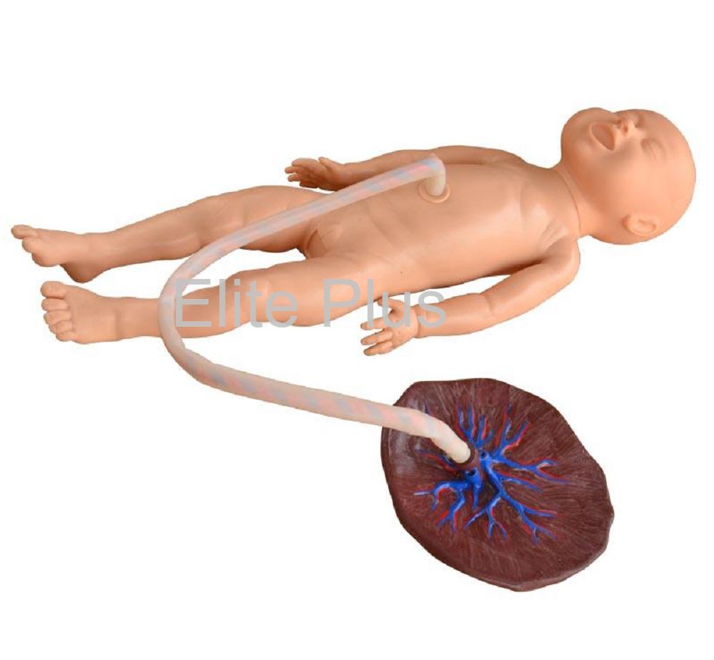XC-409C Advanced Neonate Umbilical Cord Nursing Model