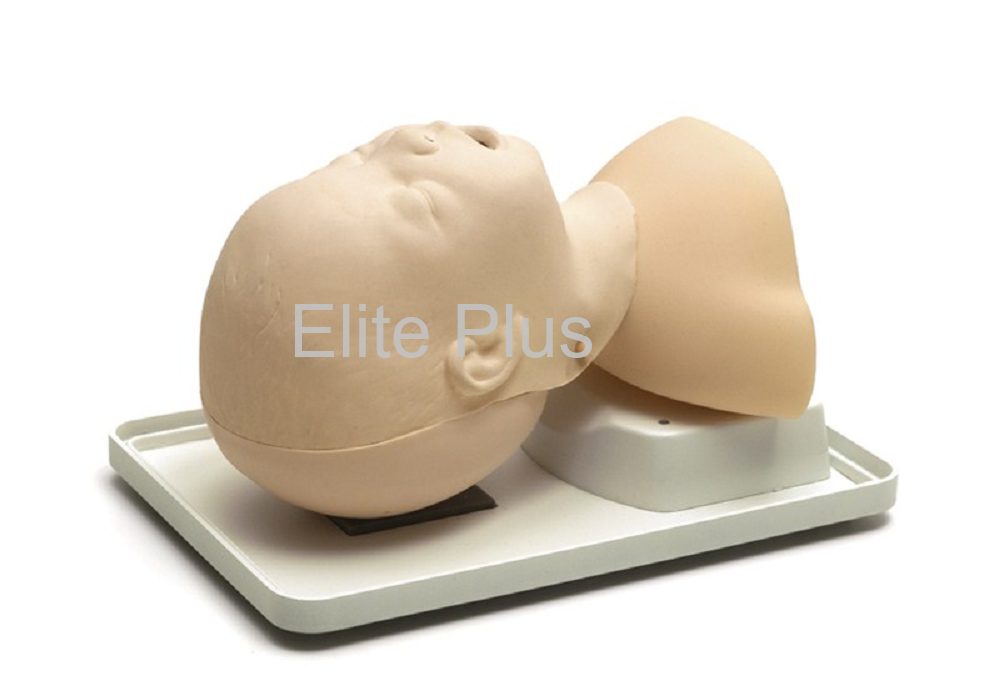 Infant Airway Management Trainer