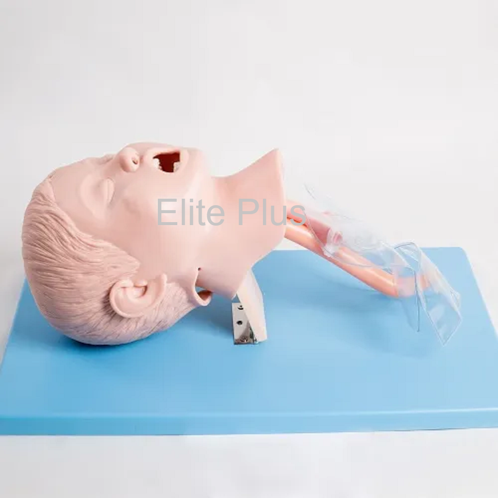 Child Tracheal Intubation Model