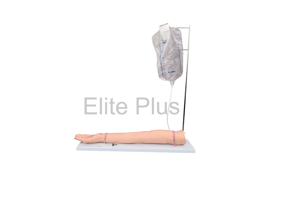 Injectable Training Arm Model (With Set)