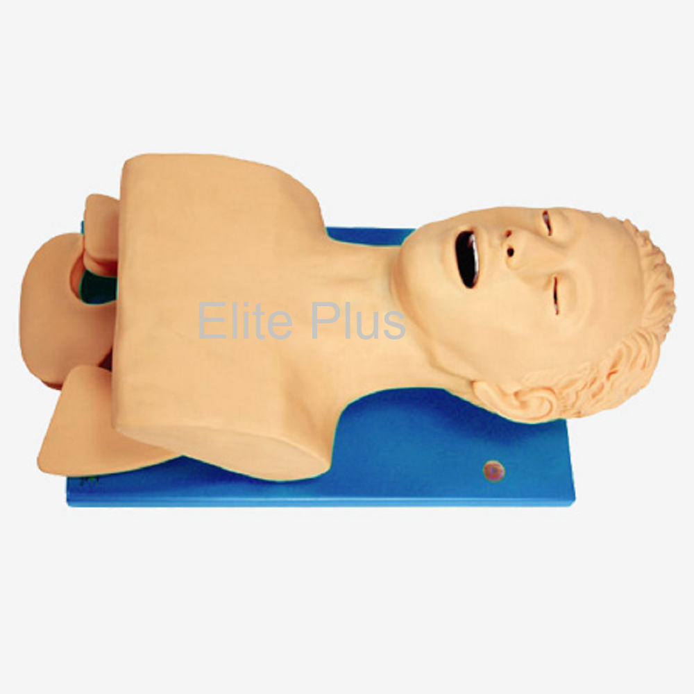 Airway Intubation Model