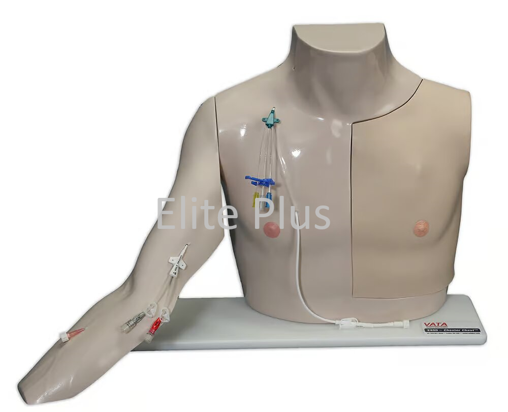 Vascular Access - Chester Chest™
