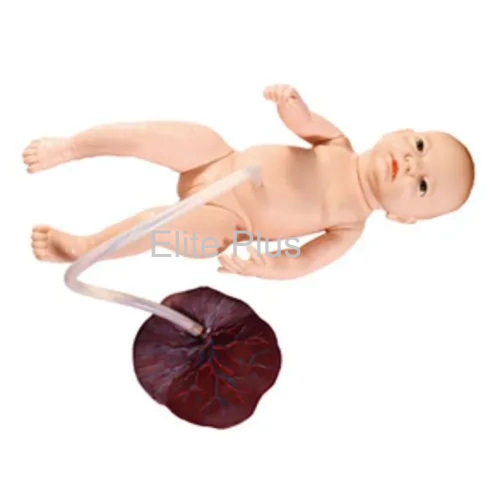 Newborn Baby with Placenta