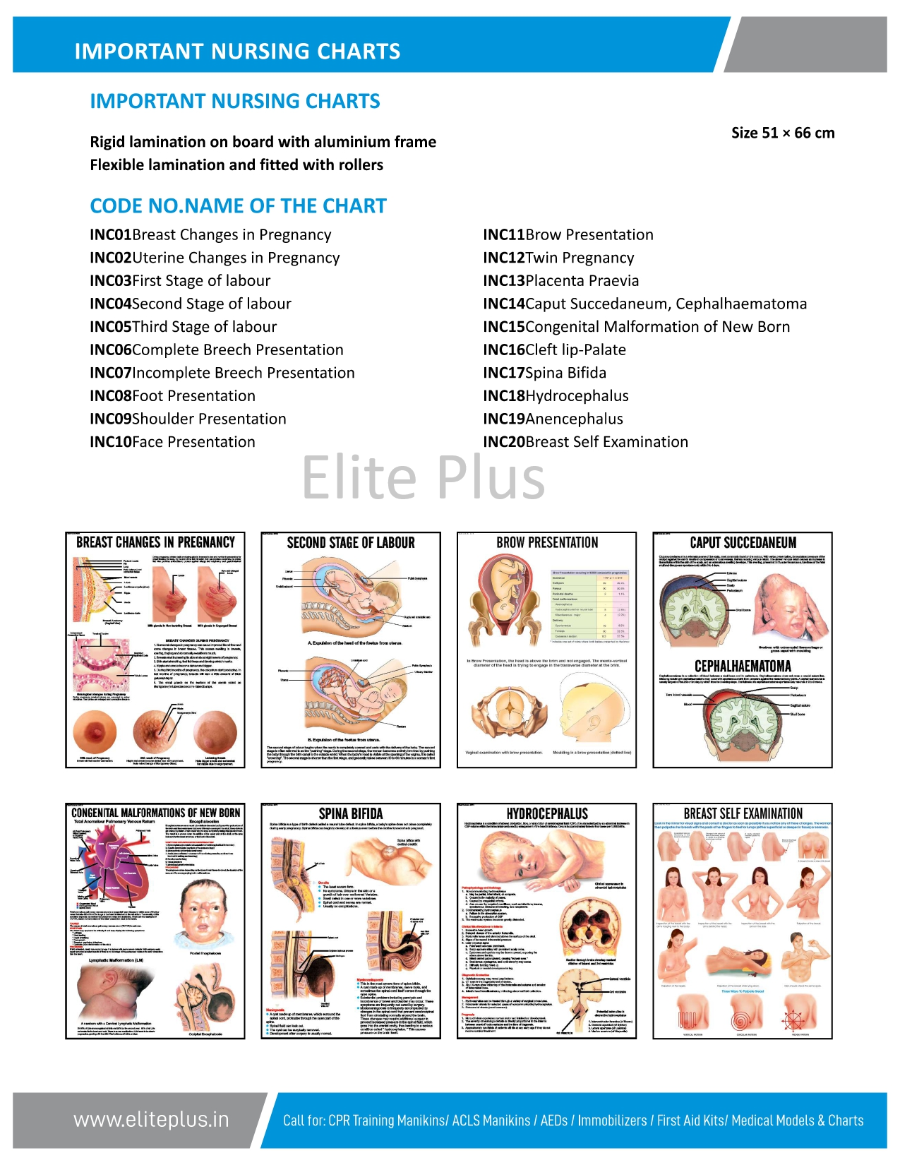 Important Nursing Charts