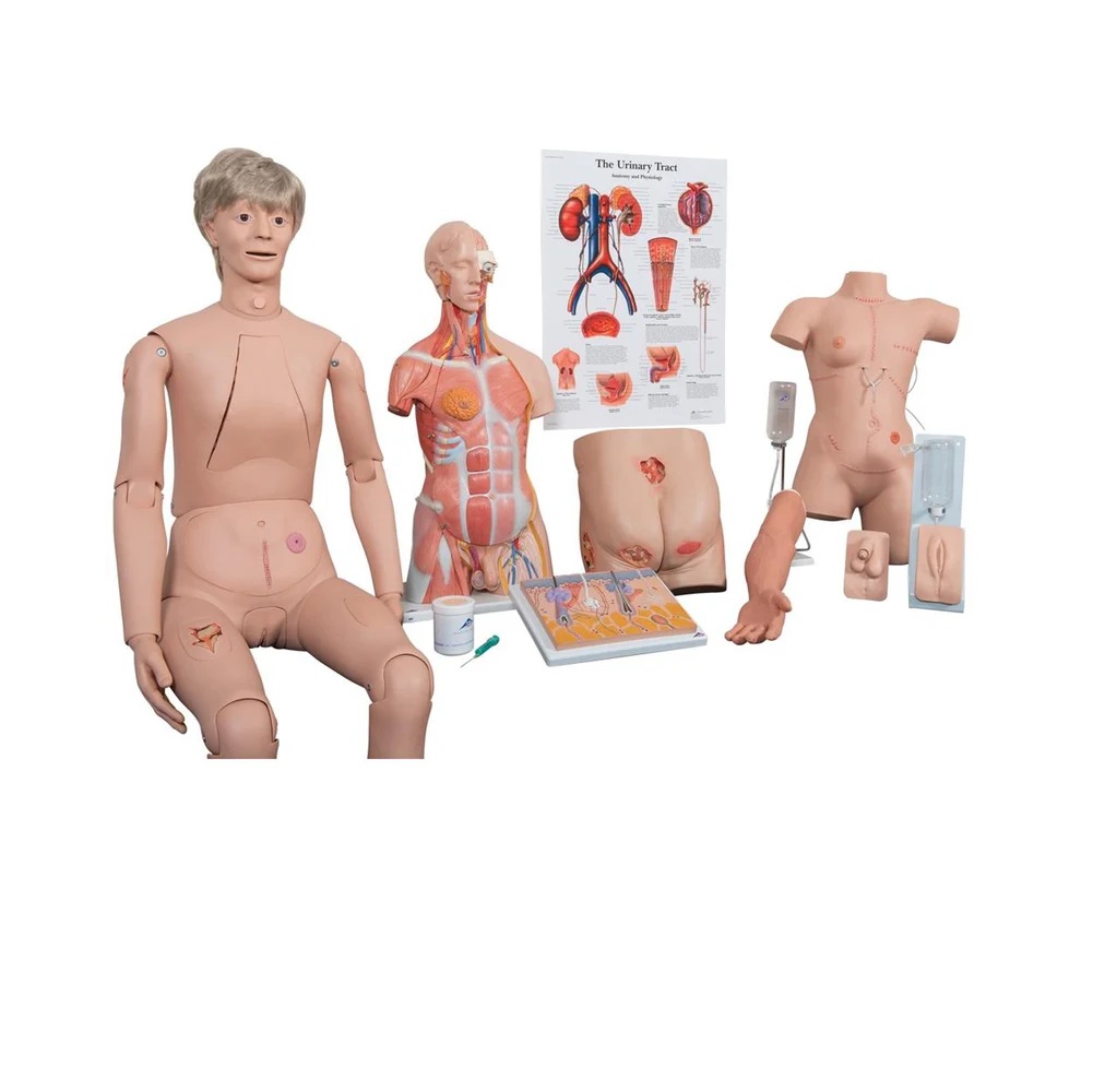 3B Scientific Essential Nursing Lab Kit