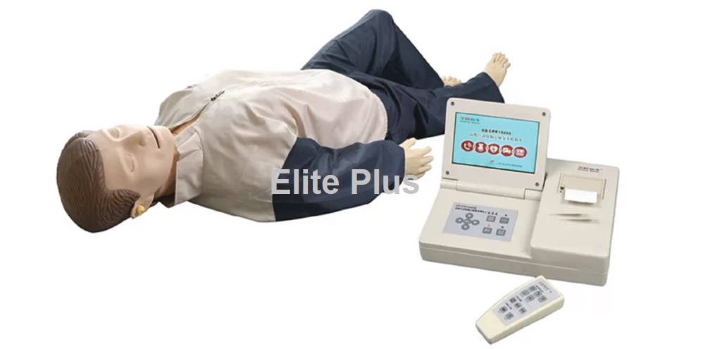 Adult Advanced Cardiac Life Support Training Manikin