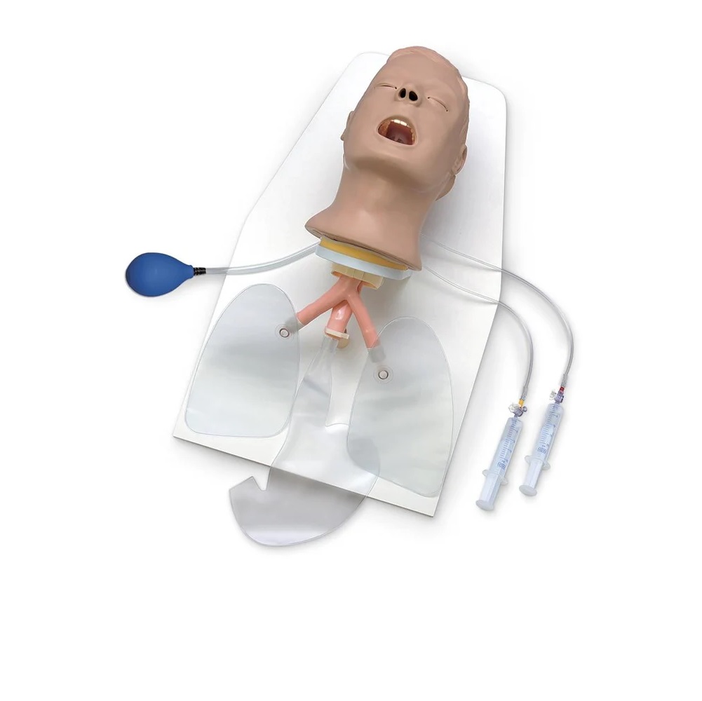Airway Larry” Adult Airway Management Trainer with Stand