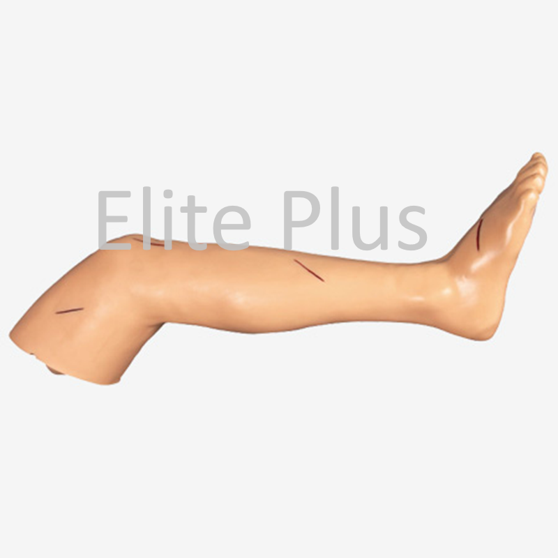 Advanced Surgical Suture Leg