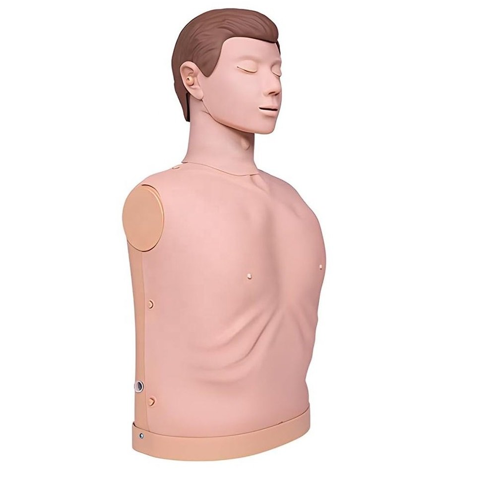 EP1100 Adult Half Body CPR Manikin