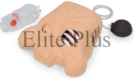 Chest Tube Manikin