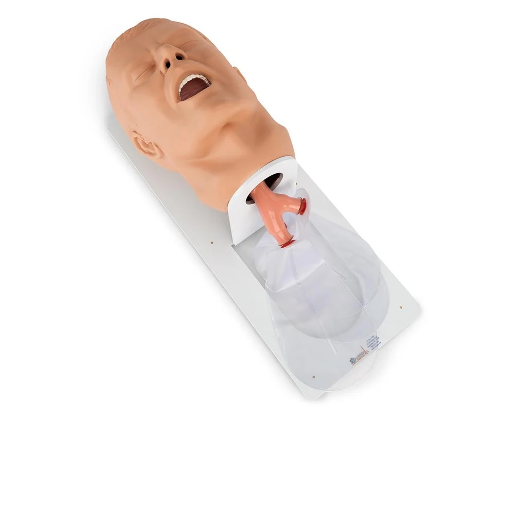 Economy Adult Airway Management Trainer with Board