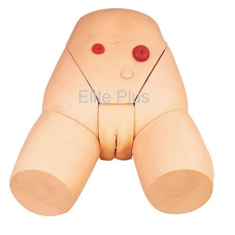GD/H17F Catheterization Training Simulator (Female)