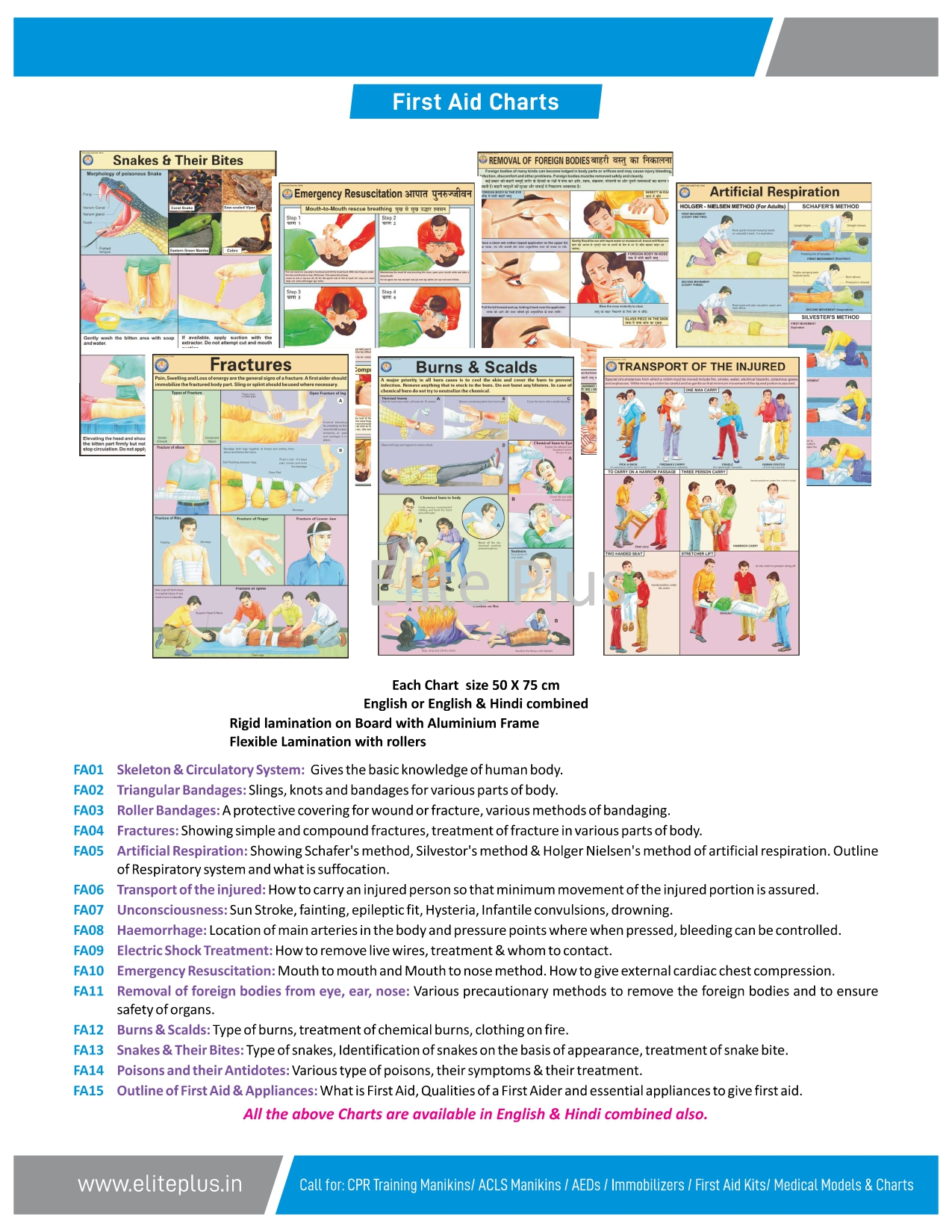 First Aid Charts