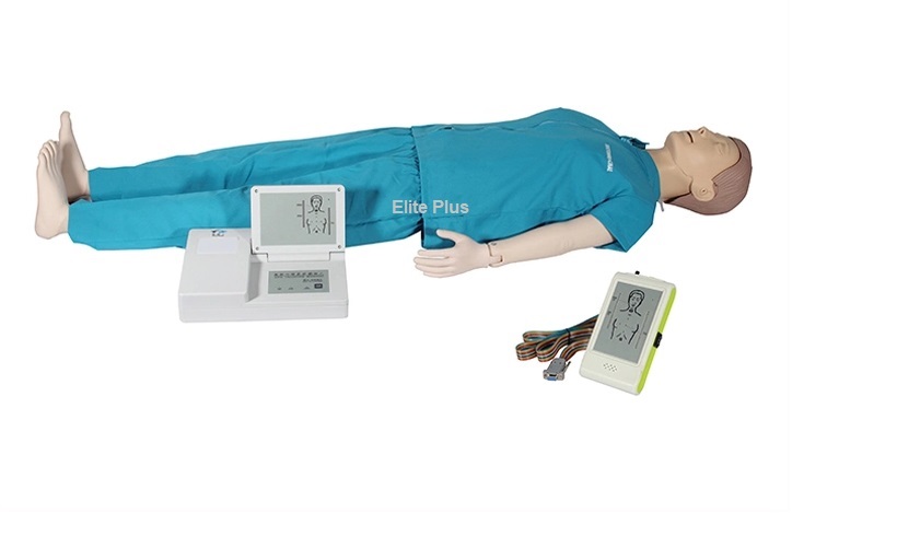 CPR2300 Basic Full Body CPR Training Manikin