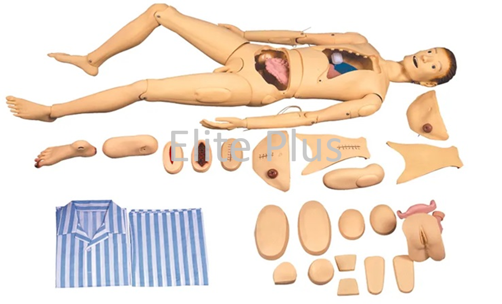 GD/H100S Basic Combination Nursing Manikin