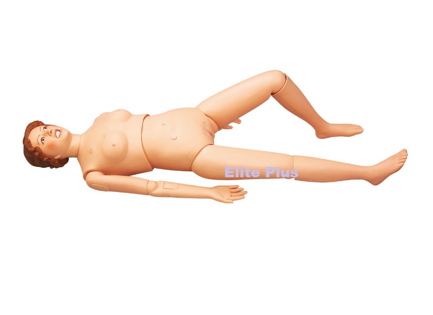 GD/H2 Multi-functional Nursing Manikin