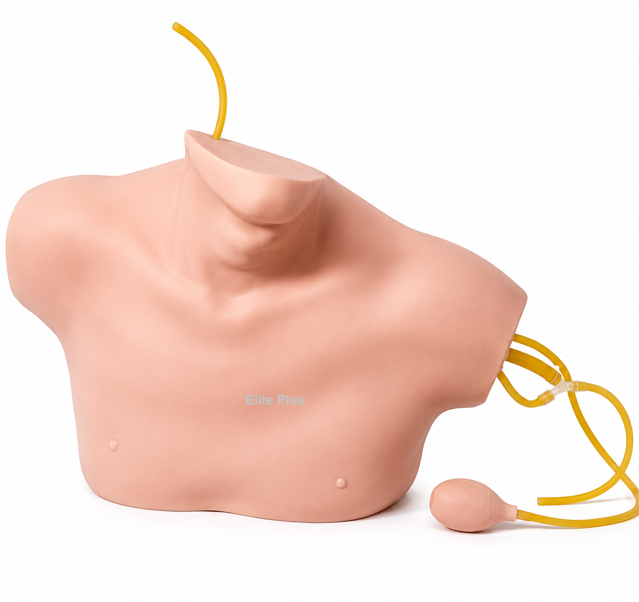 GDL69B Central Venous Catherization Simulator