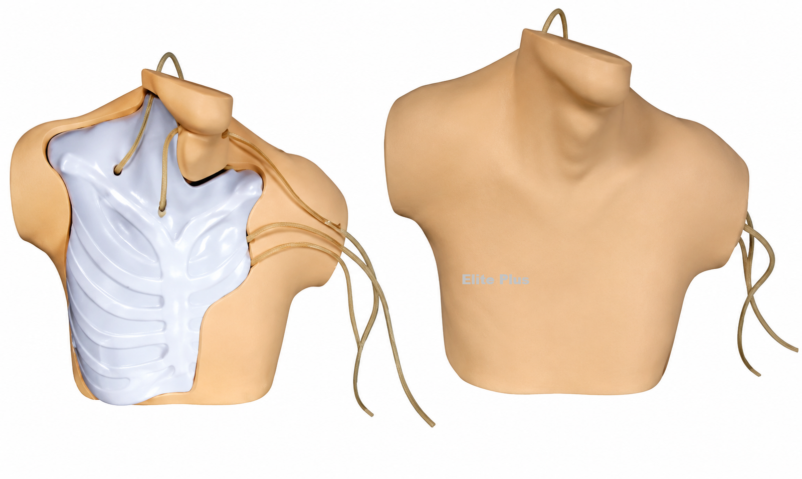 GDL69B Central Venous Catherization Simulator
