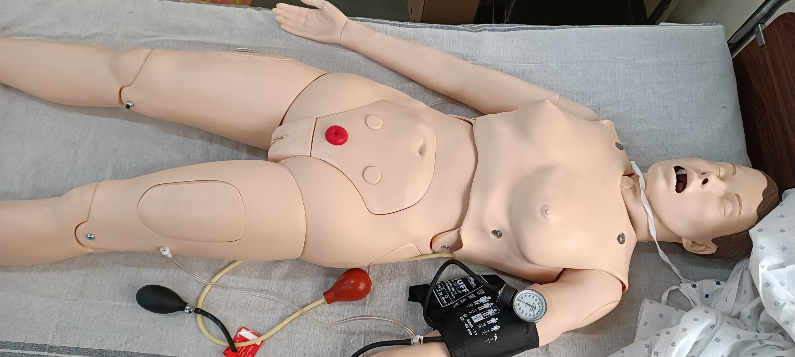 Maintaining and cleaning CPR manikins