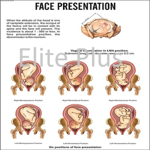 Face Presentation