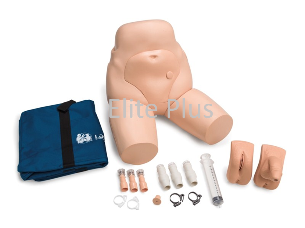 Interchangeable Catheterization and Enema Task Trainer