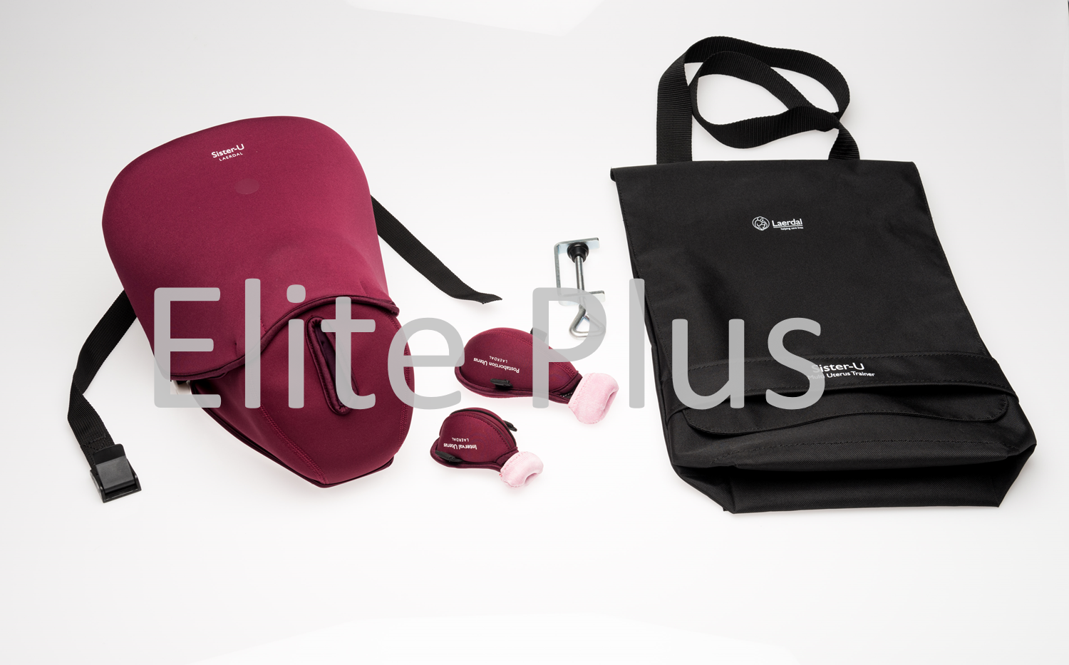 Sister-U Multi-Uterus Trainer