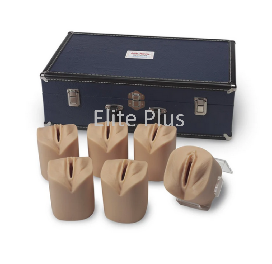 Cervical Dilatation and Effacement Simulators