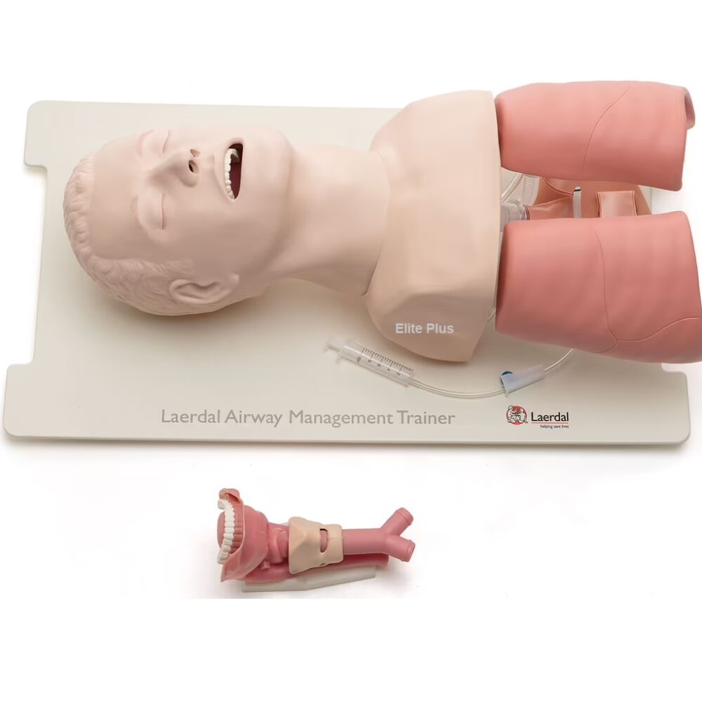 Airway Management Trainer