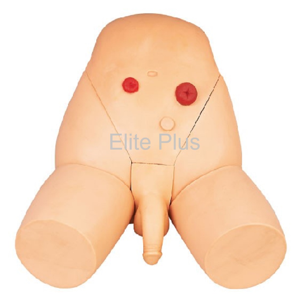 GD/H17E Catheterization Training Simulator (Male)
