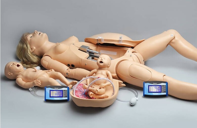 NOELLE® S550.100 - Maternal and Newborn Care Patient Simulator
