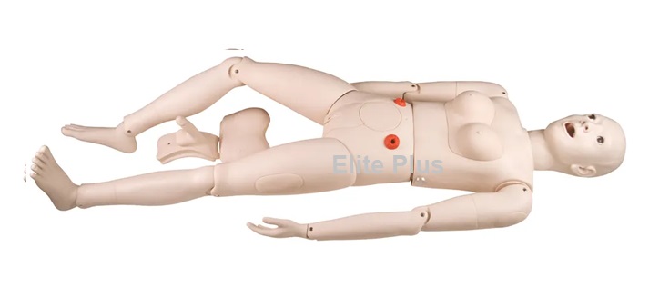 NS6002 Multi-Functional Nursing Manikin (Female)