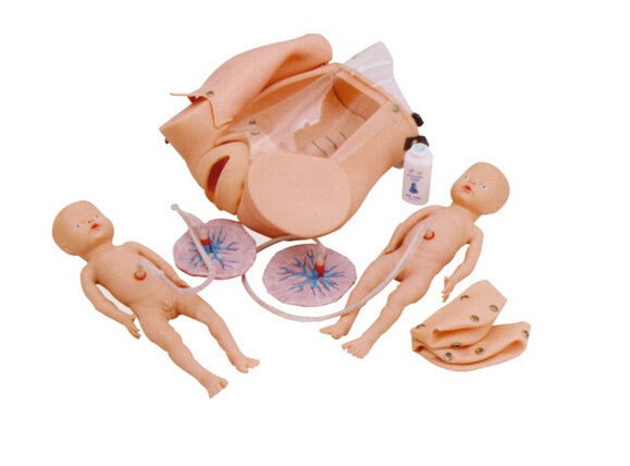 Obstetrics Simulators and Gynecology Simulators