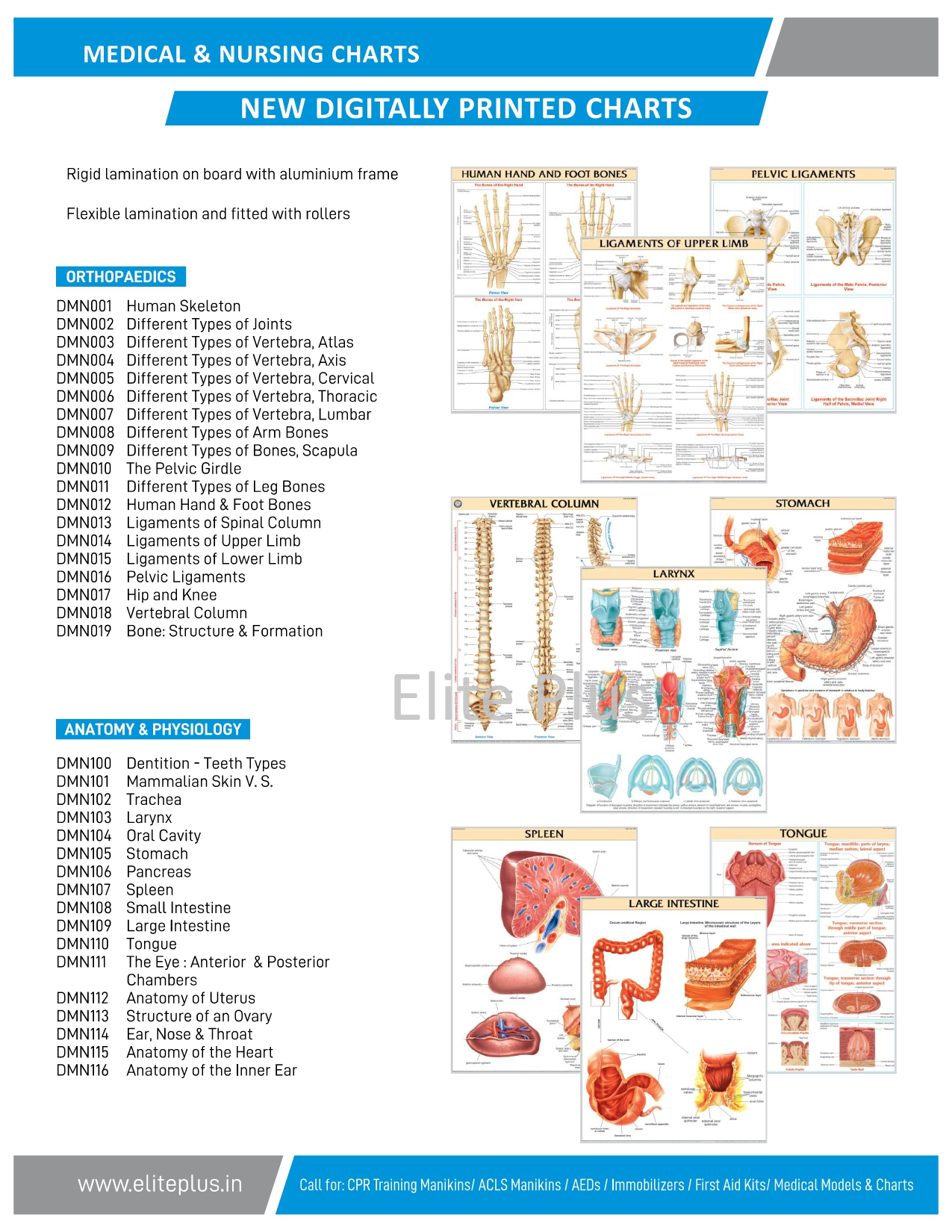 Orthopaedics