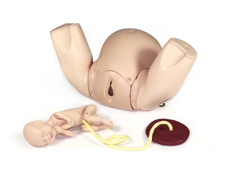 PROMPT Flex Birthing Simulator