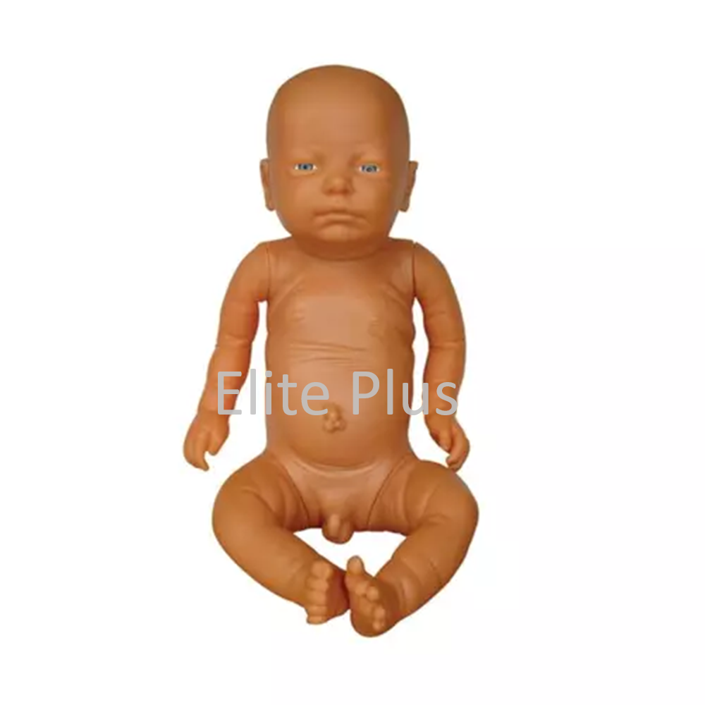 ZX-1705 Infant Model Male