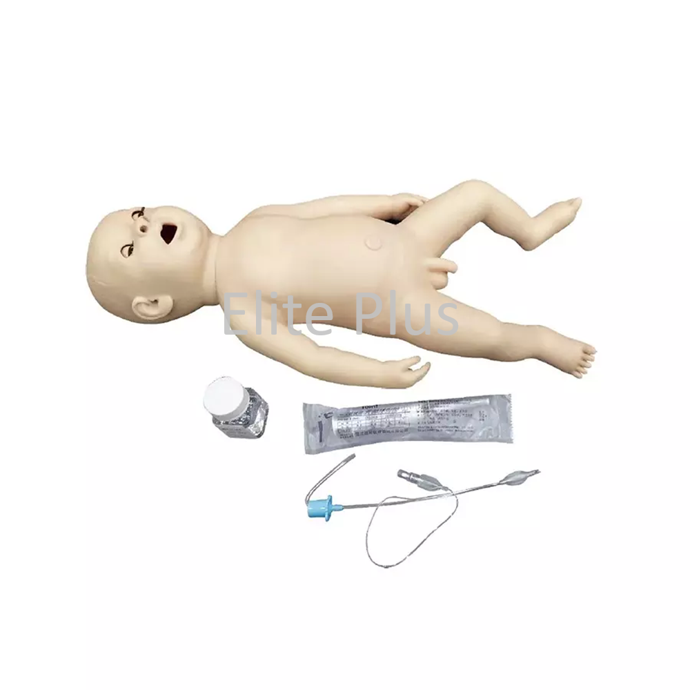 ZX-FA6248 Neonatal Endotracheal Intubation Model