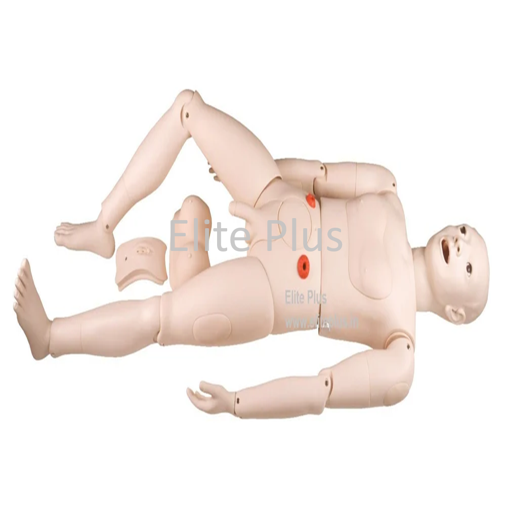 NS6001 Multi-Functional Nursing Simulator (Male)