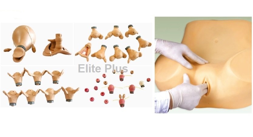Advanced Gynaecological Training Simulator