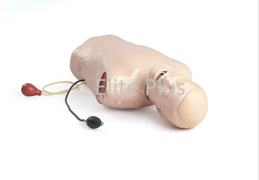 Deluxe Difficult Airway Trainer