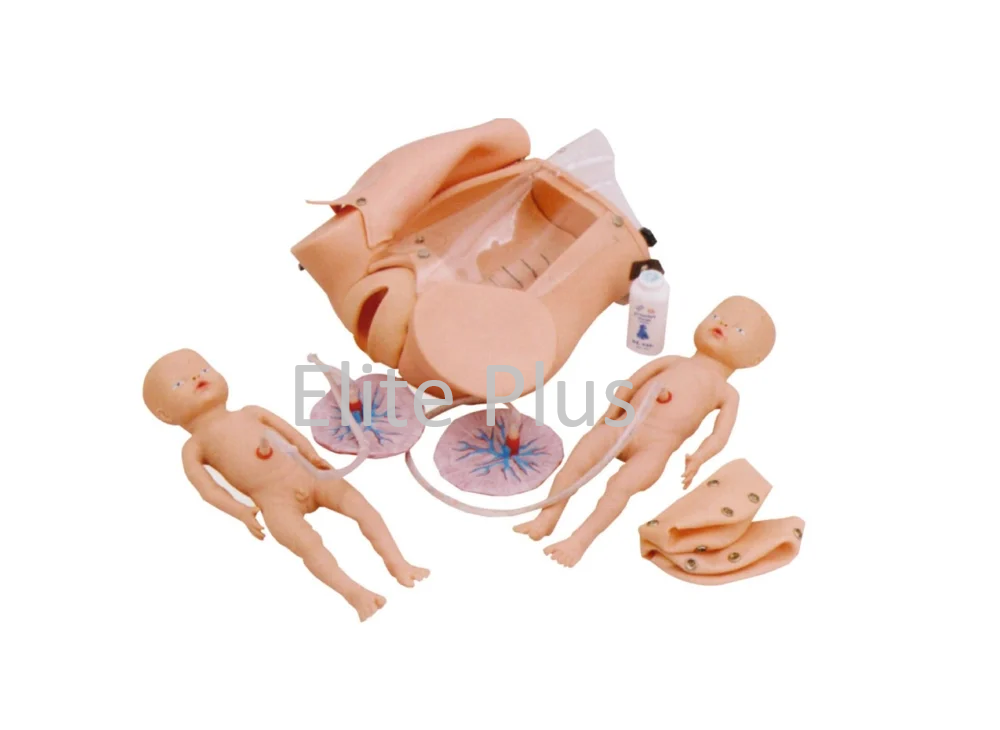 Advanced Delivery Mechanism Demonstration Simulator