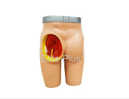 Adult Intramuscular Injection Training Manikin