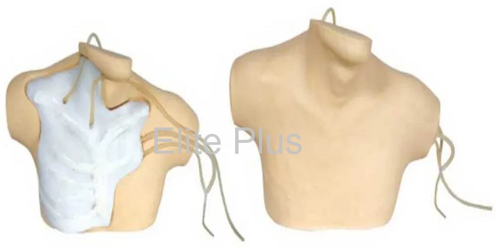 GD/L69B Central Venous Catherization Simulator