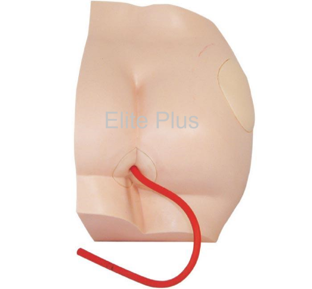 XC-431 Buttock Injection Model