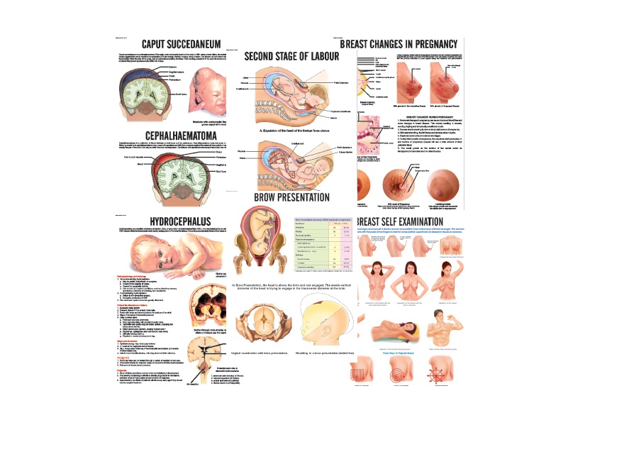 Important Nursing Charts